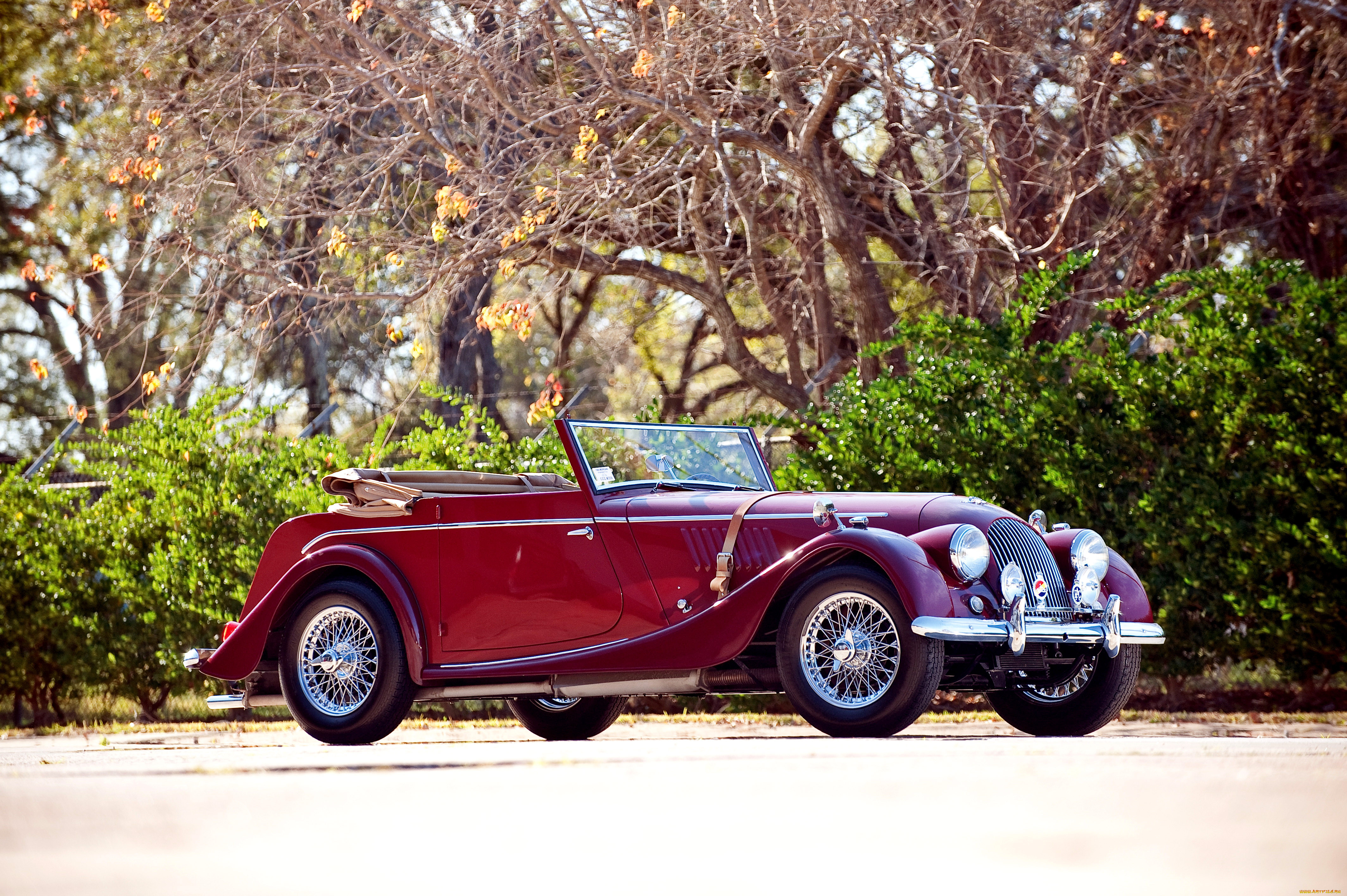 ����������, morgan